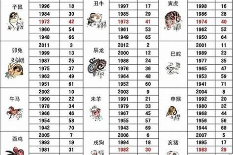 2005属什么|2005出生属什么生肖查询，2005多大年龄，2005今年几岁